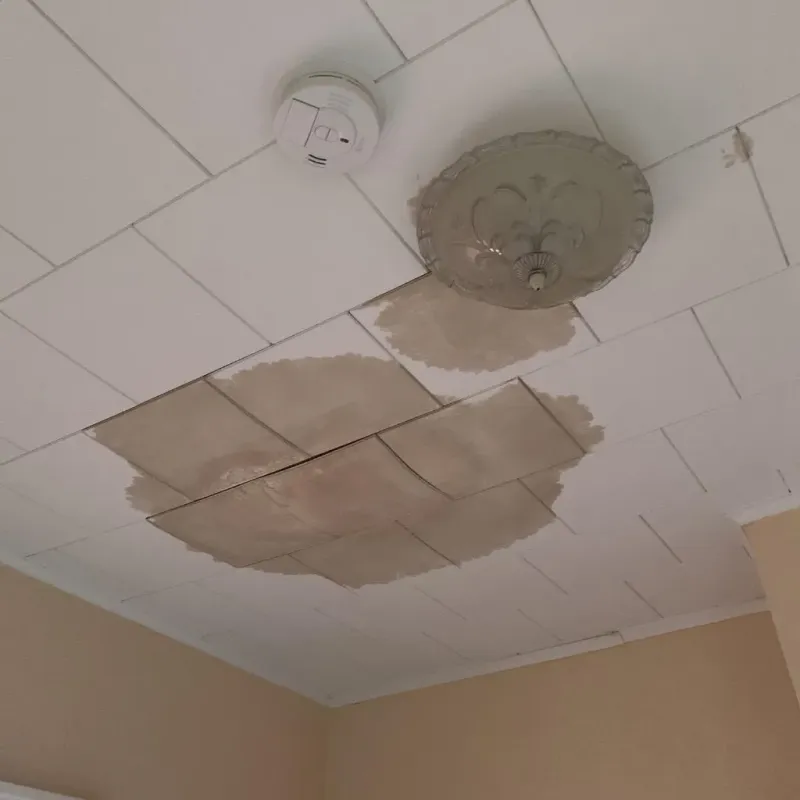 Ceiling Water Damage Repair in Montauk, NY